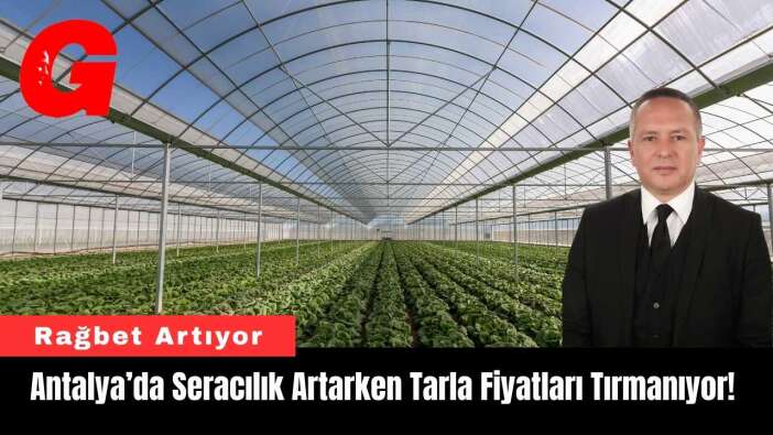 Antalya’da Seracılık Artarken Tarla Fiyatları Tırmanıyor!