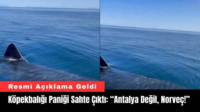 Köpekbalığı Paniği Sahte Çıktı: “Antalya Değil, Norveç!”