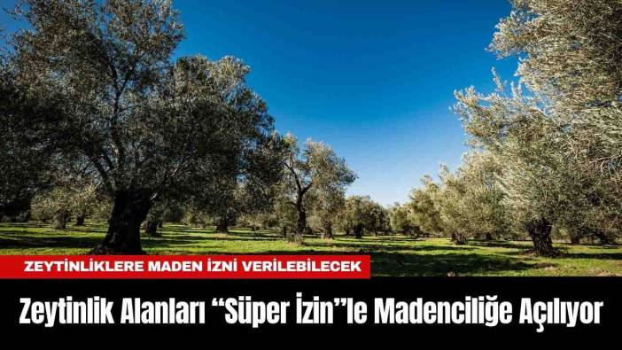 Zeytinlikler “Süper İzin”le Madenciliğe Açılıyor