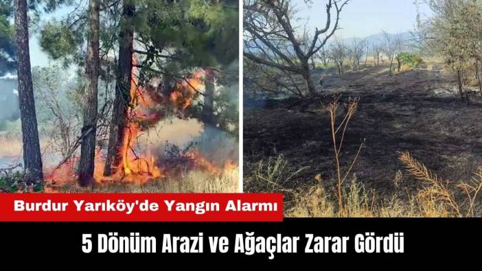 Burdur Yarıköy'de Yangın! 5 Dönüm Arazi ve Ağaçlar Yandı