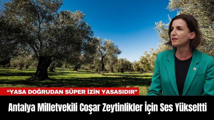 Antalya Milletvekili Coşar Zeytinlikler İçin Ses Yükseltti