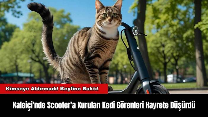 Kaleiçi’nde Scooter’a Kurulan Kedi Görenleri Hayrete Düşürdü