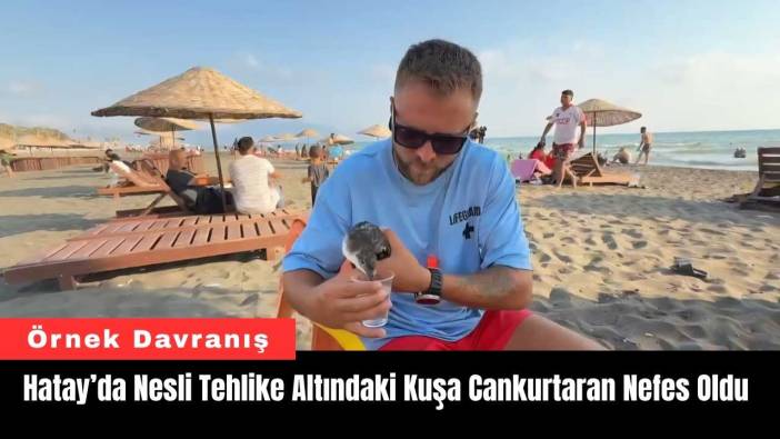 Hatay’da Nesli Tehlike Altındaki Kuşa Cankurtaran Nefes Oldu