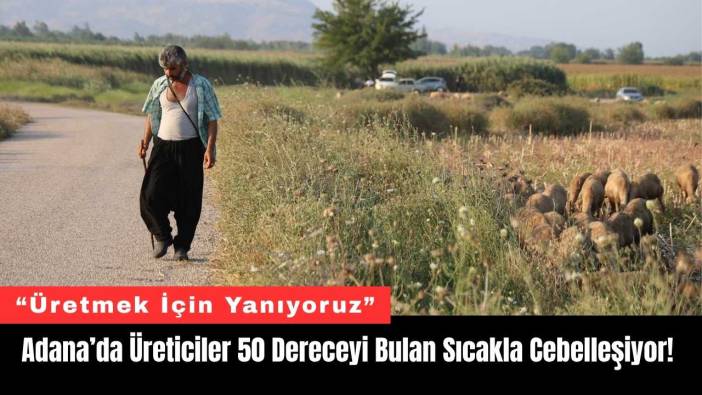 Adana’da Üreticiler 50 Dereceyi Bulan Sıcakla Cebelleşiyor!