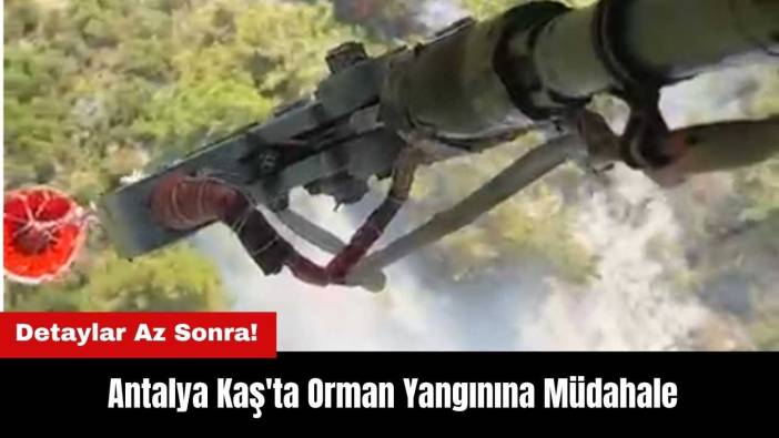 Antalya Kaş Yanıyor! Ekipler Müdahale Ediyor