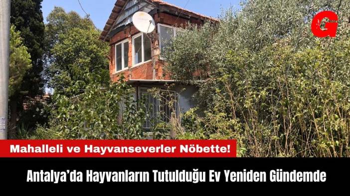 Antalya’da Hayvanların Tutulduğu Ev Yeniden Gündemde! Mahalleli Nöbette