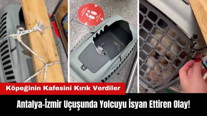 Antalya–İzmir Uçuşunda Şok Olay! Köpeğinin Kafesini Kırık Verdiler