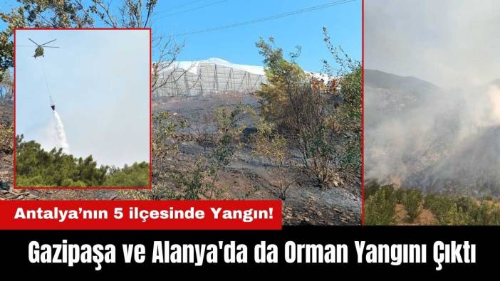 Gazipaşa ve Alanya'da da Orman Yangını Çıktı