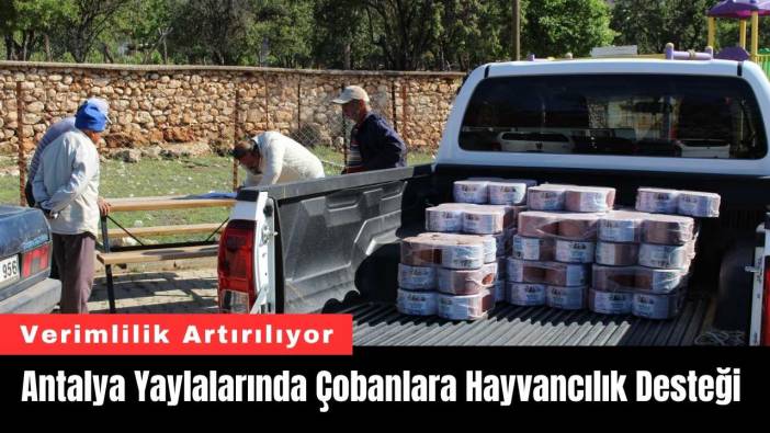 Antalya Yaylalarında Çobanlara Hayvancılık Desteği