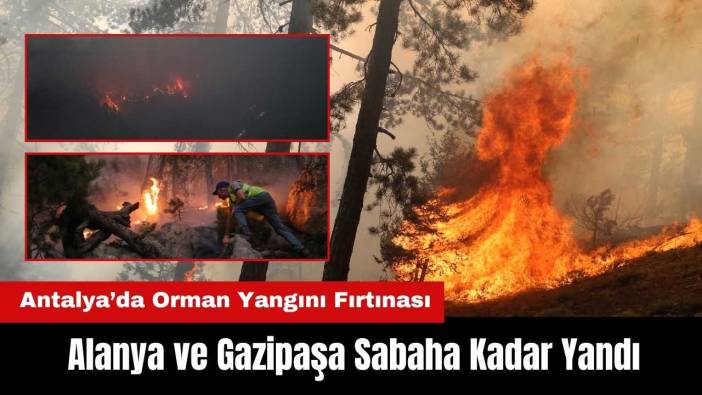 Antalya’da Orman Yangını Fırtınası: Alanya ve Gazipaşa Sabaha Kadar Yandı