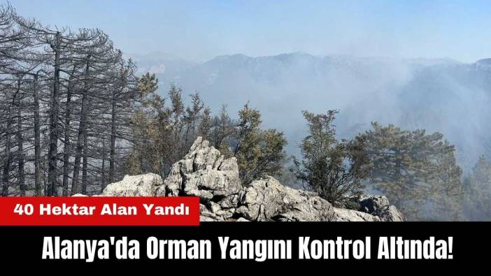 Alanya'da Orman Yangını Kontrol Altında! 40 Hektar Alan Yandı