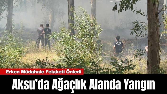 Aksu’da Ağaçlık Alanda Yangın: Erken Müdahale Felaketi Önledi
