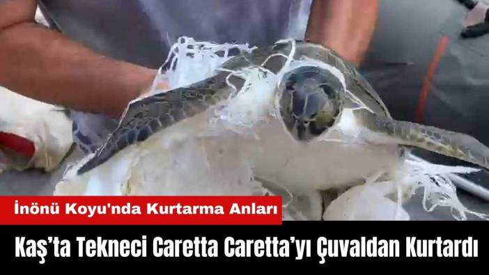 Antalya Kaş’ta Tekneci Caretta Caretta’yı Çuvaldan Kurtardı