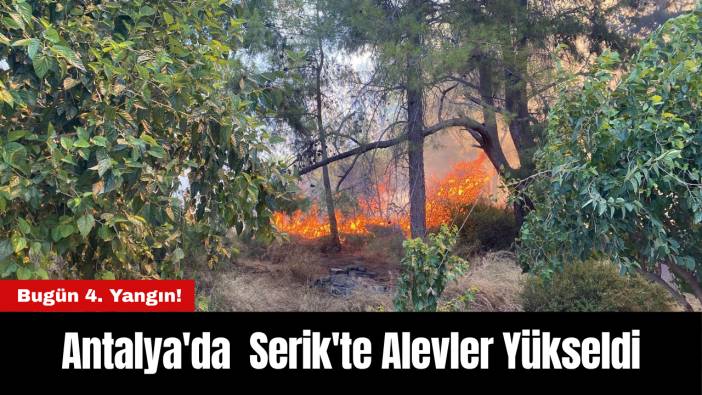 Antalya'da Bugün 4. Yangın! Serik'te Alevler Yükseldi