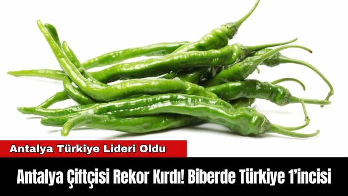 Antalya Çiftçisi Rekor Kırdı! Biberde Türkiye 1’incisi