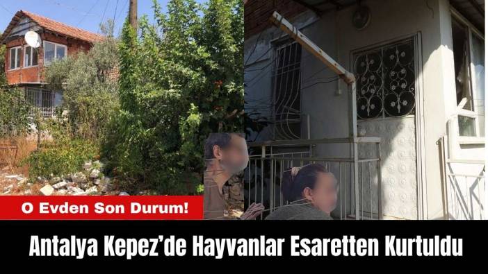 Antalya Kepez’de Hayvanların Esir Tutulduğu Evden Son Durum!