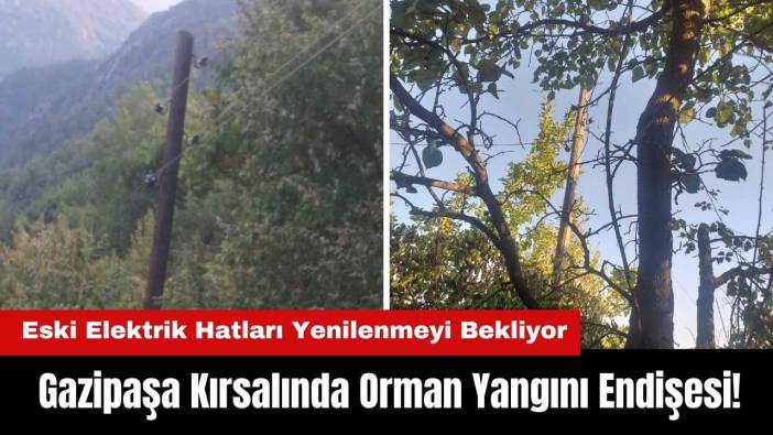 Gazipaşa Kırsalında Orman Yangını Endişesi! Eski Elektrik Hatları Yenilenmeyi Bekliyor
