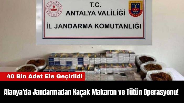 Alanya'da Jandarmadan Kaçak Makaron ve Tütün Operasyonu!