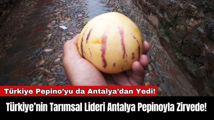 Türkiye’nin Tarımsal Lideri Antalya Pepinoyla Zirvede!