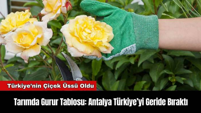 Tarımda Gurur Tablosu: Antalya Türkiye’yi Geride Bıraktı