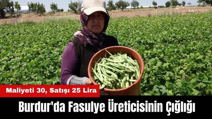 Burdur'da Fasulye Üreticisinin Çığlığı! Maliyeti 30, Satışı 25 Lira