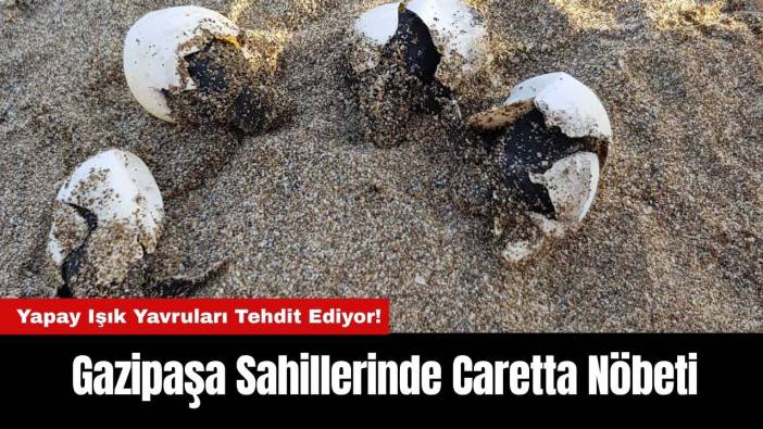Gazipaşa Sahillerinde Vatandaşlar Caretta Nöbeti Tutuyor