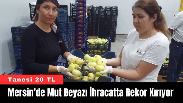 Mersin’de Mut Beyazı İhracatta Rekor Kırıyor