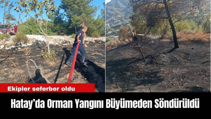 Hatay’da Orman Yangını Büyümeden Söndürüldü