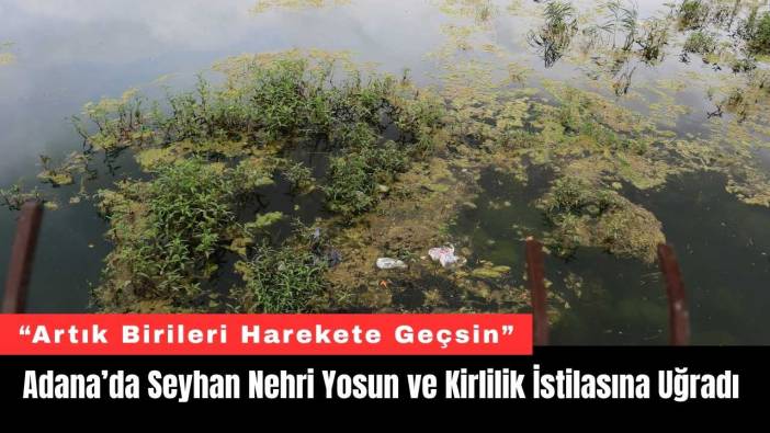 Adana’da Seyhan Nehri Yosun ve Kirlilik İstilasına Uğradı