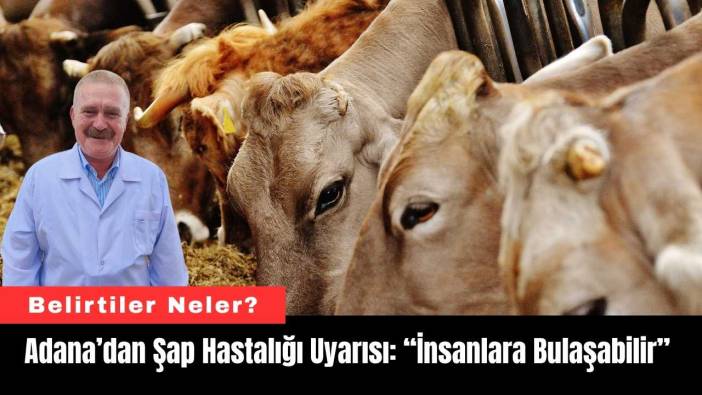 Adana’dan Şap Hastalığı Uyarısı: “İnsanlara Bulaşabilir”