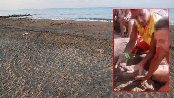 Antalya Sahillerinde Skandal! Caretta Yuvaları Para Karşılığı Turistlere Açılıyor