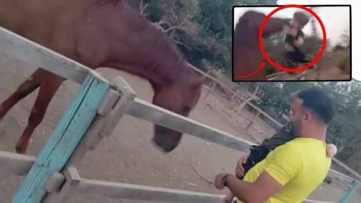 Antalya Konyaaltı’nda 3 Yaşındaki Çocuğa At Saldırdı!