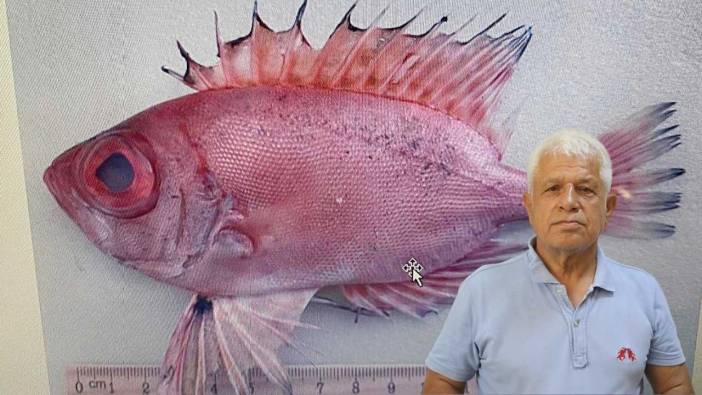 Tropikleşen Akdeniz’de Kızıldeniz’den Gelen Tür Sayısı 72 Oldu!