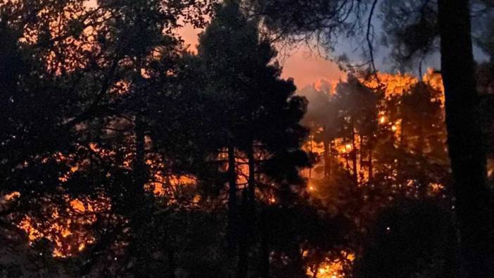 Isparta Kovada Gölü'nde Orman Yangını