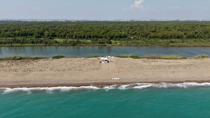Çardaklardan Kurtarılan Kumköy Sahili’nde Kaçak Yapı Şoku: Dereye İskele, Denize Plaj!