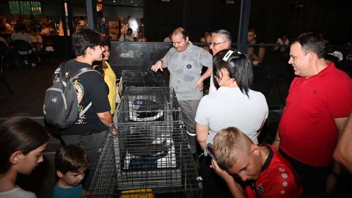 Kemer’de Sokaktaki Canlar İçin İkinci Konser Düzenlenecek