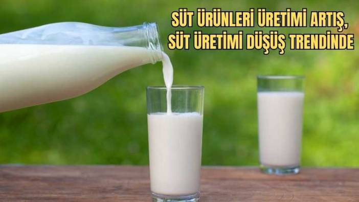 Süt Üretiminde Maliyet Baskısı Üretimde Düşüş Getirdi