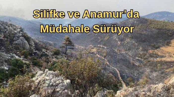 Mersin’de Orman Yangınları Büyük Ölçüde Kontrol Altında!