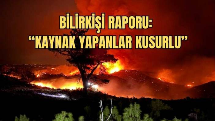 Mersin’de 15 Bin Dönüm Kaynak Çalışmasıyla Kül Olmuş! 4 Tutuklama