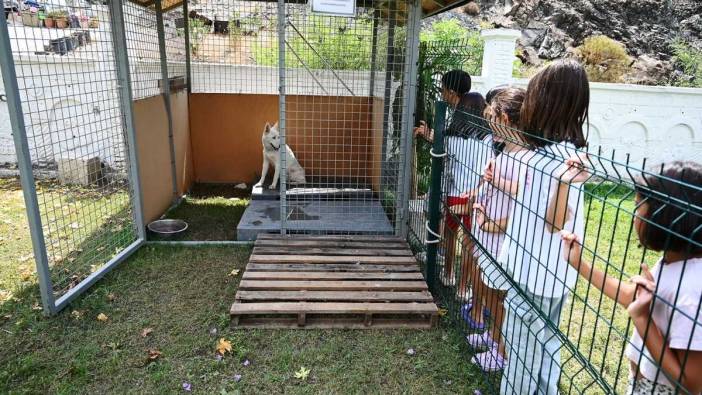 Kemer’de Can Dostlar İçin Sahiplendirme İstasyonu Kuruldu