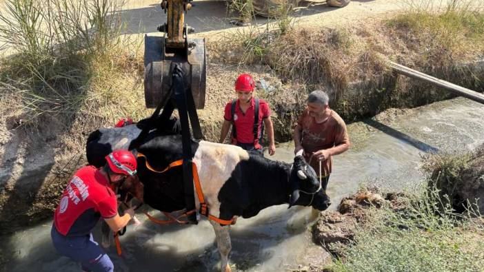 Mersin’de Kanala Düşen İnek İçin İş Makineli Operasyon!