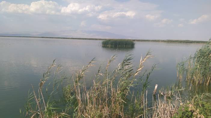 Eber ve Akşehir Gölleri İçin Eylem Planı Hazırlığı
