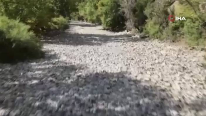 Antalya’da Doğa Felaketi! Üzümdere Irmağı Kurudu, Canlılar Yok Oldu