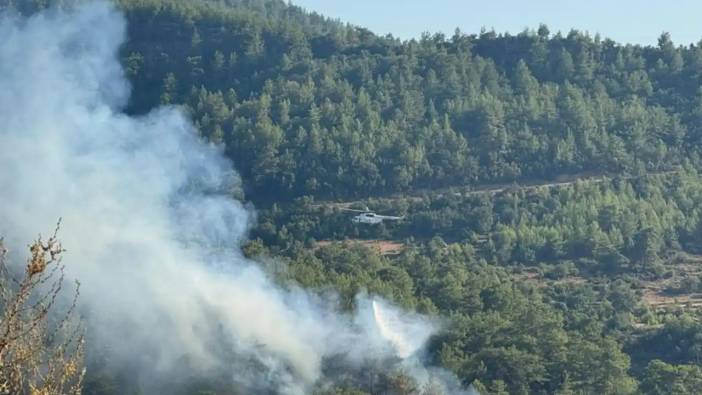 Manavgat’ta Ormanı Alevler Sardı! Havadan ve Karadan Müdahale Ediliyor