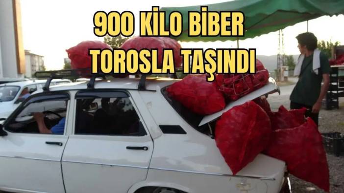 Adana’da Salça Sezonu Başladı! Yüzlerce Kilo Biber Arabalarla Taşındı
