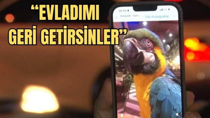 Turgut Özal’ın 28 Yıllık Papağanı Cabbar Antalya’da İkinci Kez Çalındı