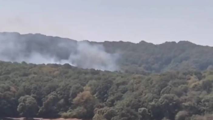 İstanbul’da Orman Yangını Alarmı! Ekipler Seferber Oldu