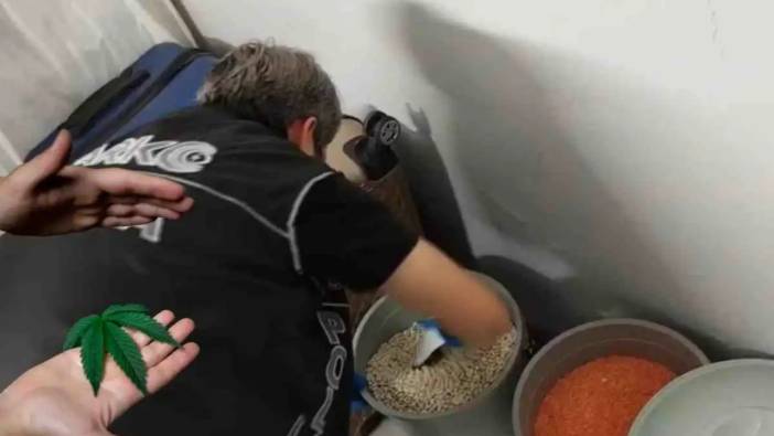 Bu da Oldu! Adana'da Fasulyeden Yasaklı Madde Çıktı!
