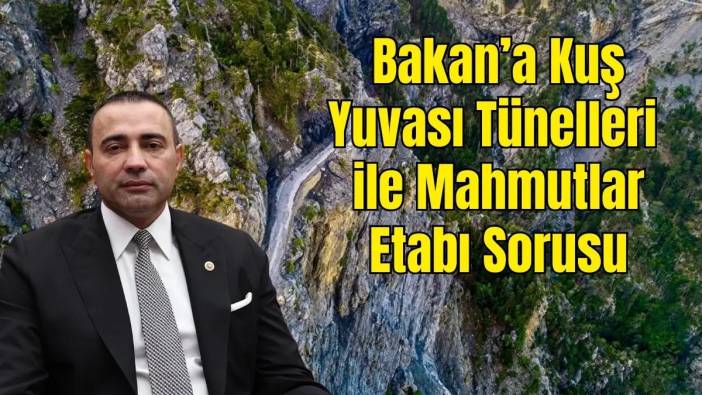 Türkiye'nin En Tehlikeli Yollarından: Alanya Kuş Yuvası Geçidi Ne Olacak?