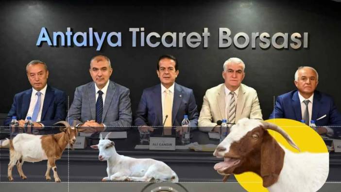 Antalya Keçileri Kaçırdı! Kalanı da Avlayacak!